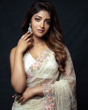 Dimple Hayathi Latest Photos | Picture 1884449