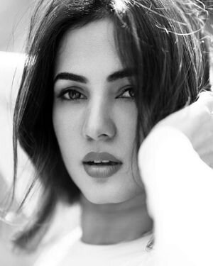 Sonal Chauhan Latest Photos | Picture 1869707