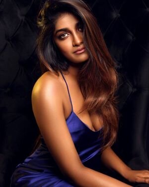 Dimple Hayathi Latest Photos | Picture 1896670