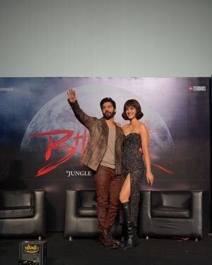 Photos: Trailer Launch Of Film Bhediya | Picture 1899232