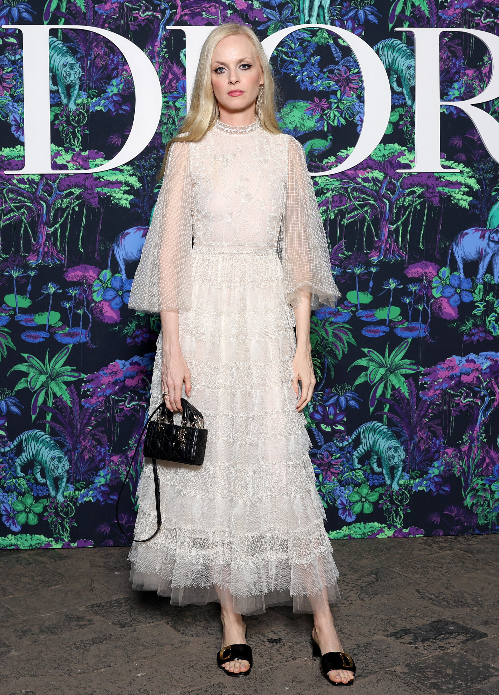 Photos: Celebs At DIOR's Pre Fall 2023 Show | Picture 1933073