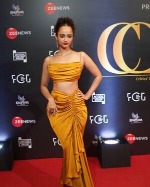 Photos: Celebs At Red Carpet Of The 5th Edition Of Critics Choice Awards