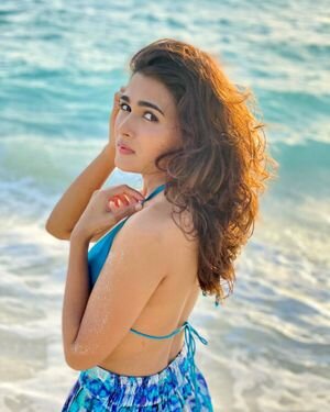 Shalini Pandey Latest Photos | Picture 1915812