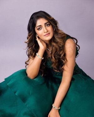 Dimple Hayathi Latest Photos | Picture 1927644