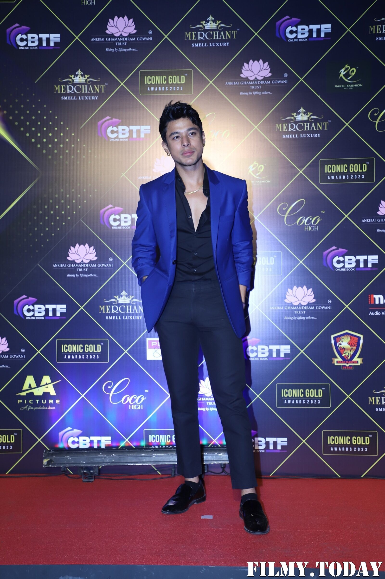 Photos: Celebs At The Iconic Gold Awards 2023 | Picture 1928698